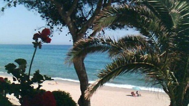 A beach with a palm tree and red flowers in the foreground, and a person lying on the sand in the background. - PENTHOUSE PANORAMIC VIEWS (Montroig)