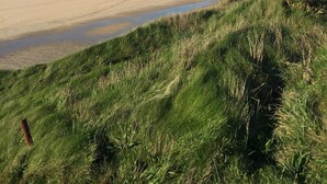 Une plage bordée de dunes herbeuses, offrant une vue dégagée sur l’océan.