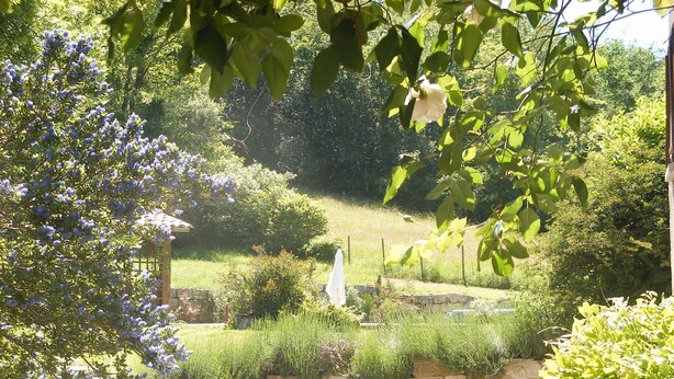 Un jardin avec des marches en pierre menant à un mur de pierre, le tout entouré de diverses plantes et fleurs.