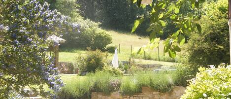 المنطقة المحيطة بالمنشأة