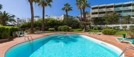 A swimming pool with a tiled edge, surrounded by palm trees and greenery, with a building in the background.