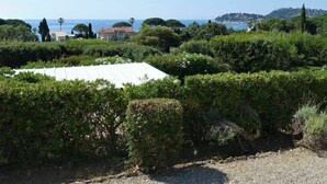 A vineyard with a white building, dense greenery, and a distant view of the sea and hills.