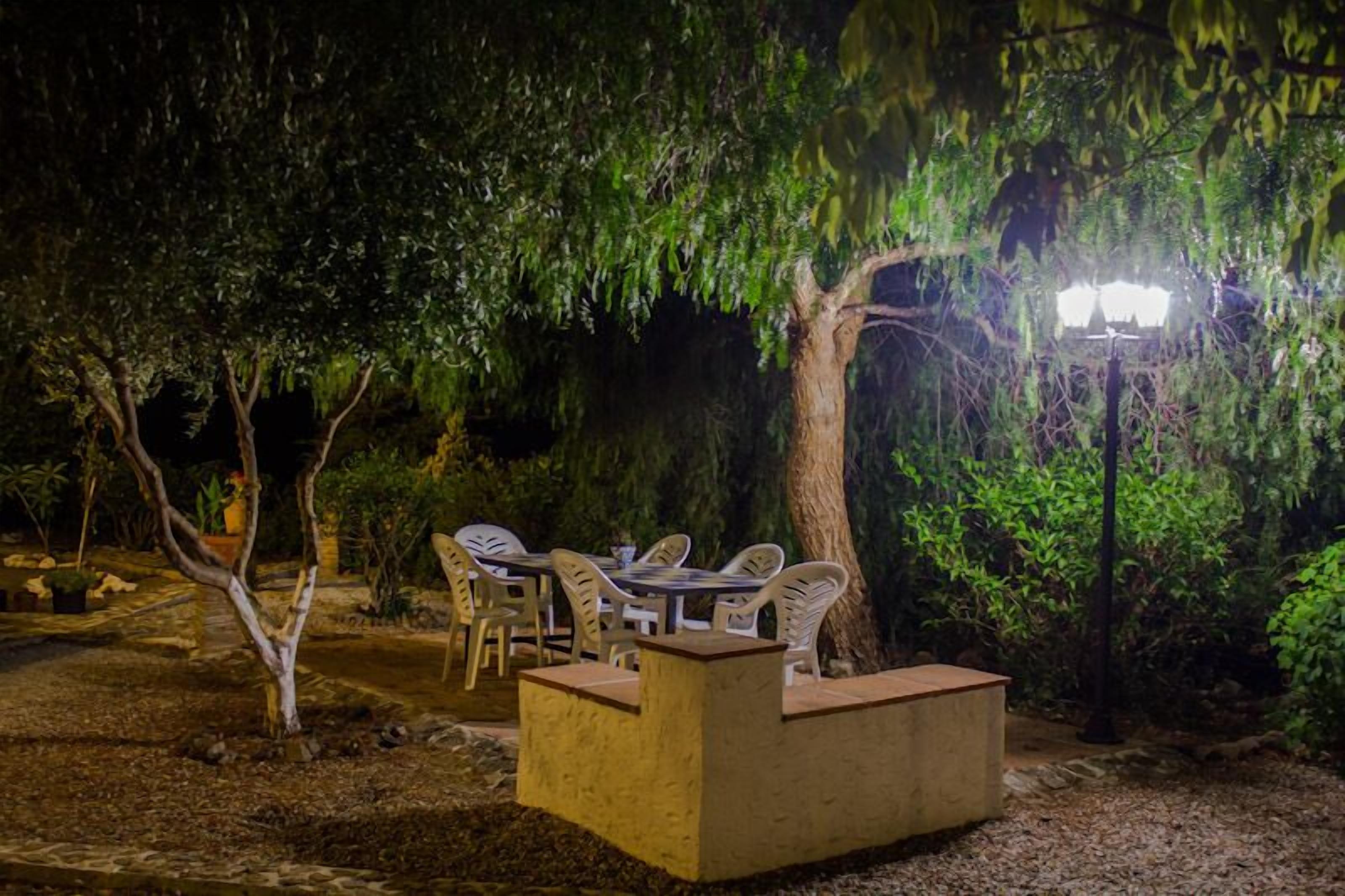 Un área de estar al aire libre con mesas y sillas bajo un árbol, rodeada de follaje.