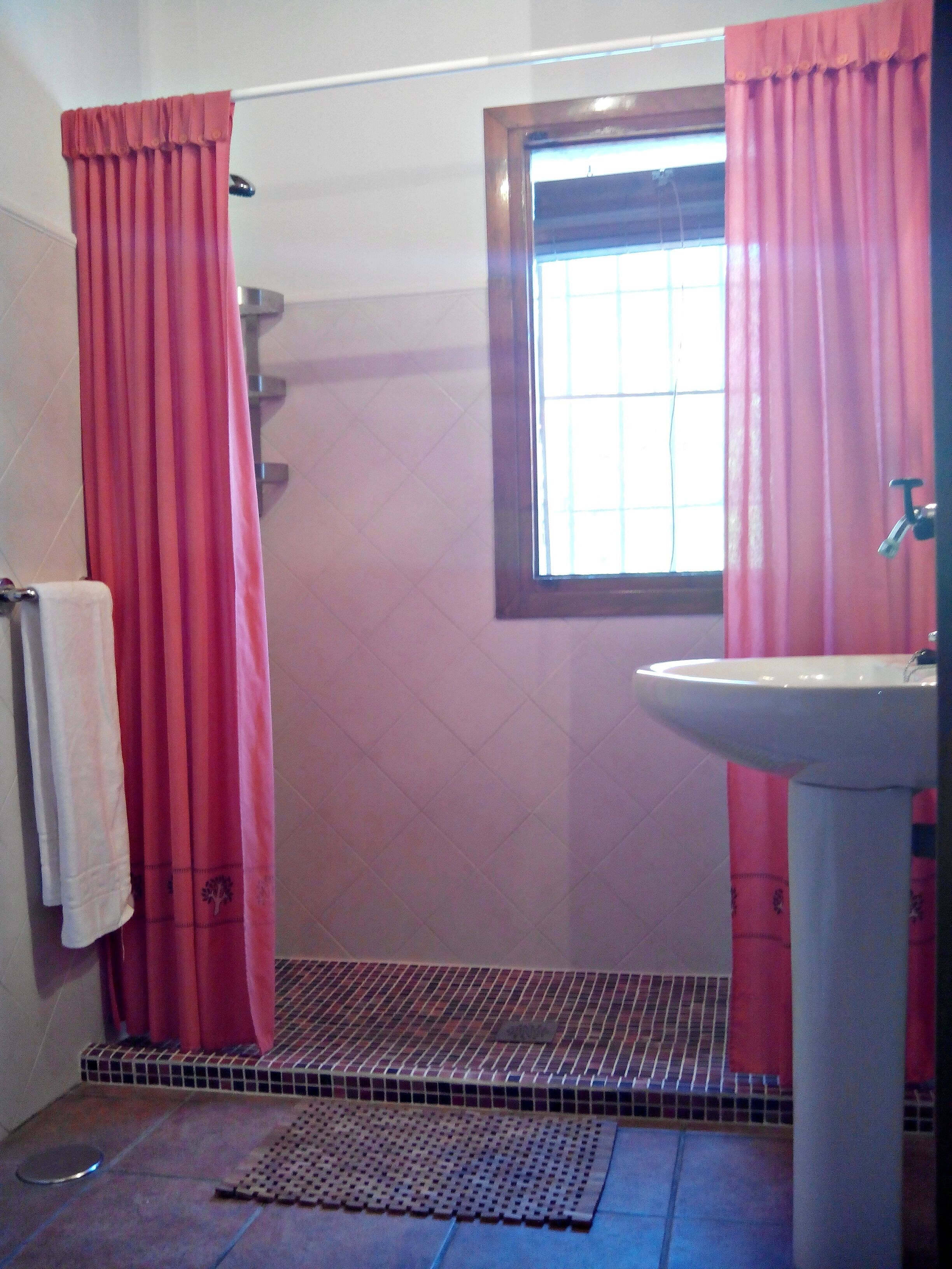 A bathroom with a shower, a sink, and a window.