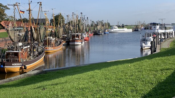 Een jachthaven met diverse boten afgemeerd, een grasveld op de voorgrond en een heldere lucht.
