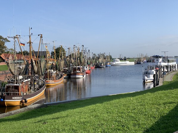 A marina with various boats docked, a grassy area in the foreground, and a clear sky.