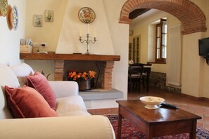 Télévision, cheminée, lecteur de DVD, chaîne hi-fi