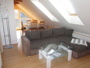 TV, DVD player, stereo - Child-friendly apartment with terrace, 800m to the beach (Groß Schwansee)