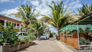 A narrow street lined with palm trees and a variety of plants. There are parked cars and a building with a green awning on the right. - la cariole (Saint-Pierre)