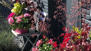 Eine Veranda mit Blumentöpfen und einer Bank.