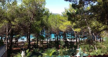 Apartamento Pinetree frente al mar