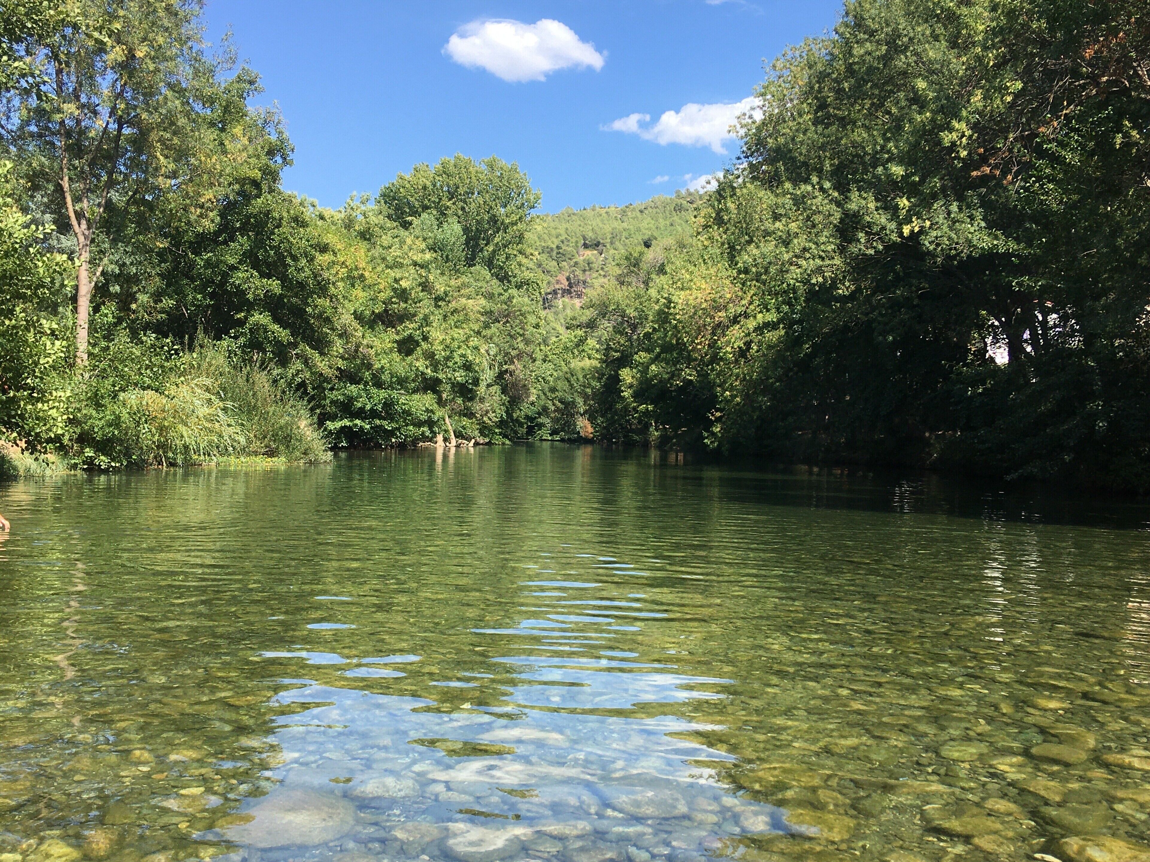 Une rivière aux eaux claires, bordée d’une végétation luxuriante et d’arbres.