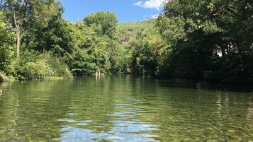 Une rivière aux eaux claires, bordée d’une végétation luxuriante et d’arbres.