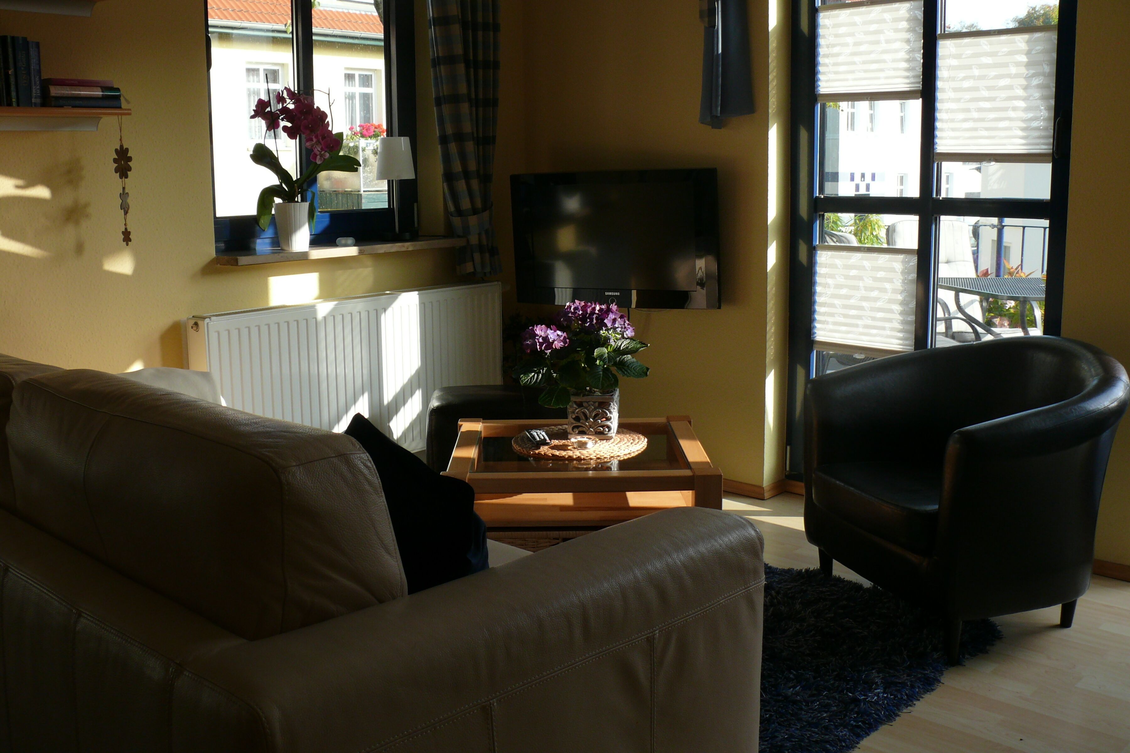 Fernseher, Bücher