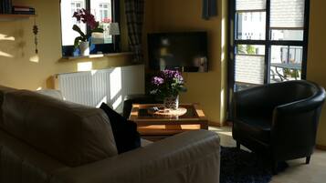 Fernseher, Bücher
