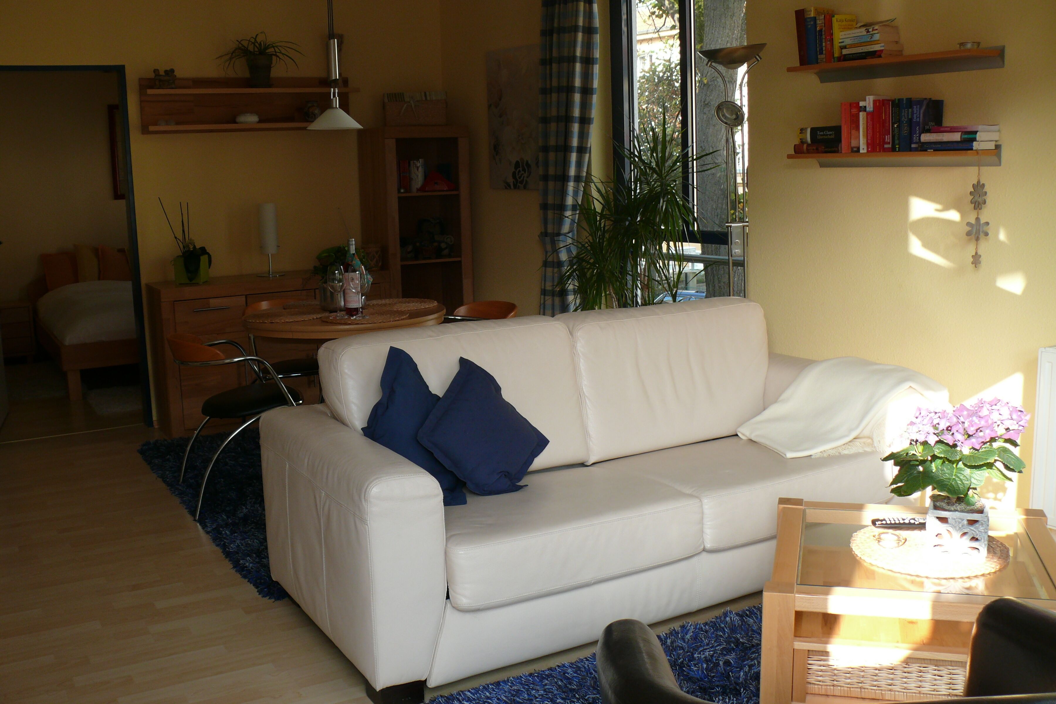 Fernseher, Bücher