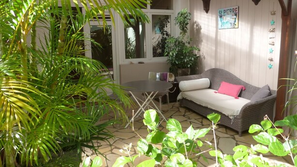 A cozy patio area with a wicker sofa, a table, and various potted plants. - Studio in Didier FORT DE FRANCE (Fort de France)