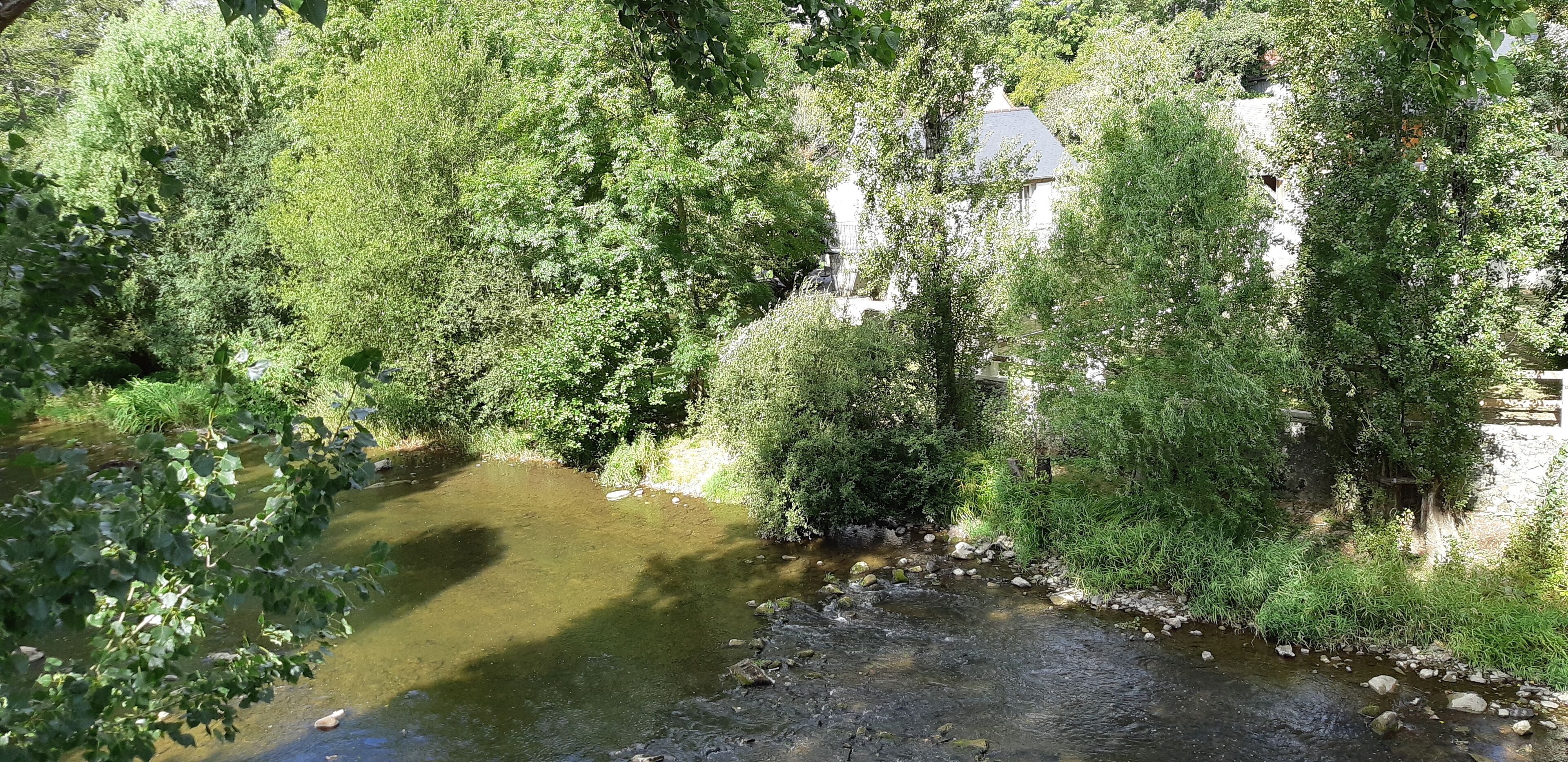 En flod der snor sig gennem et tæt skovområde med en bygning i baggrunden.