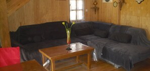 TV, fireplace, books