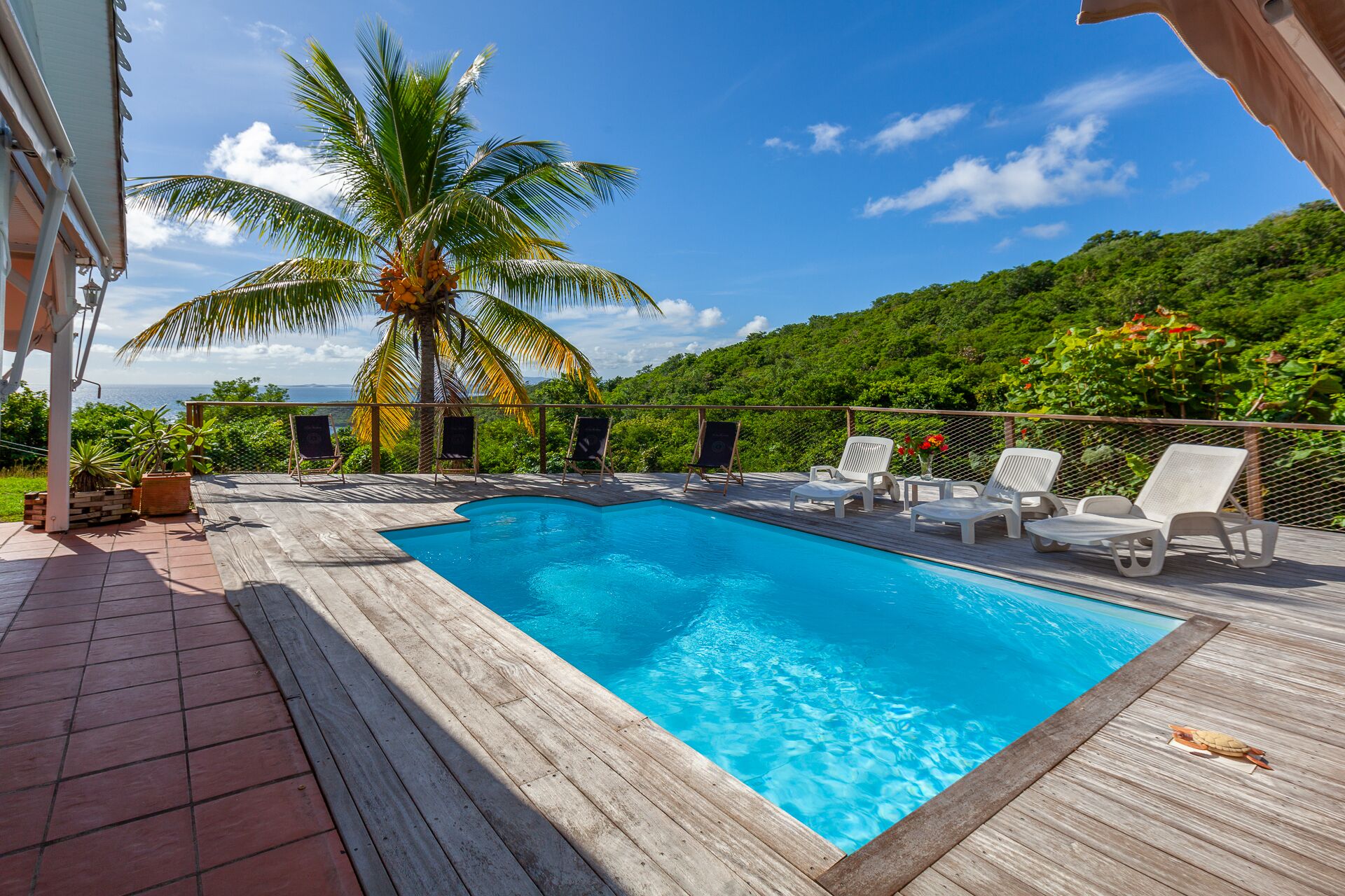 A pool with wooden deck and lounge chairs, surrounded by greenery and a palm tree.