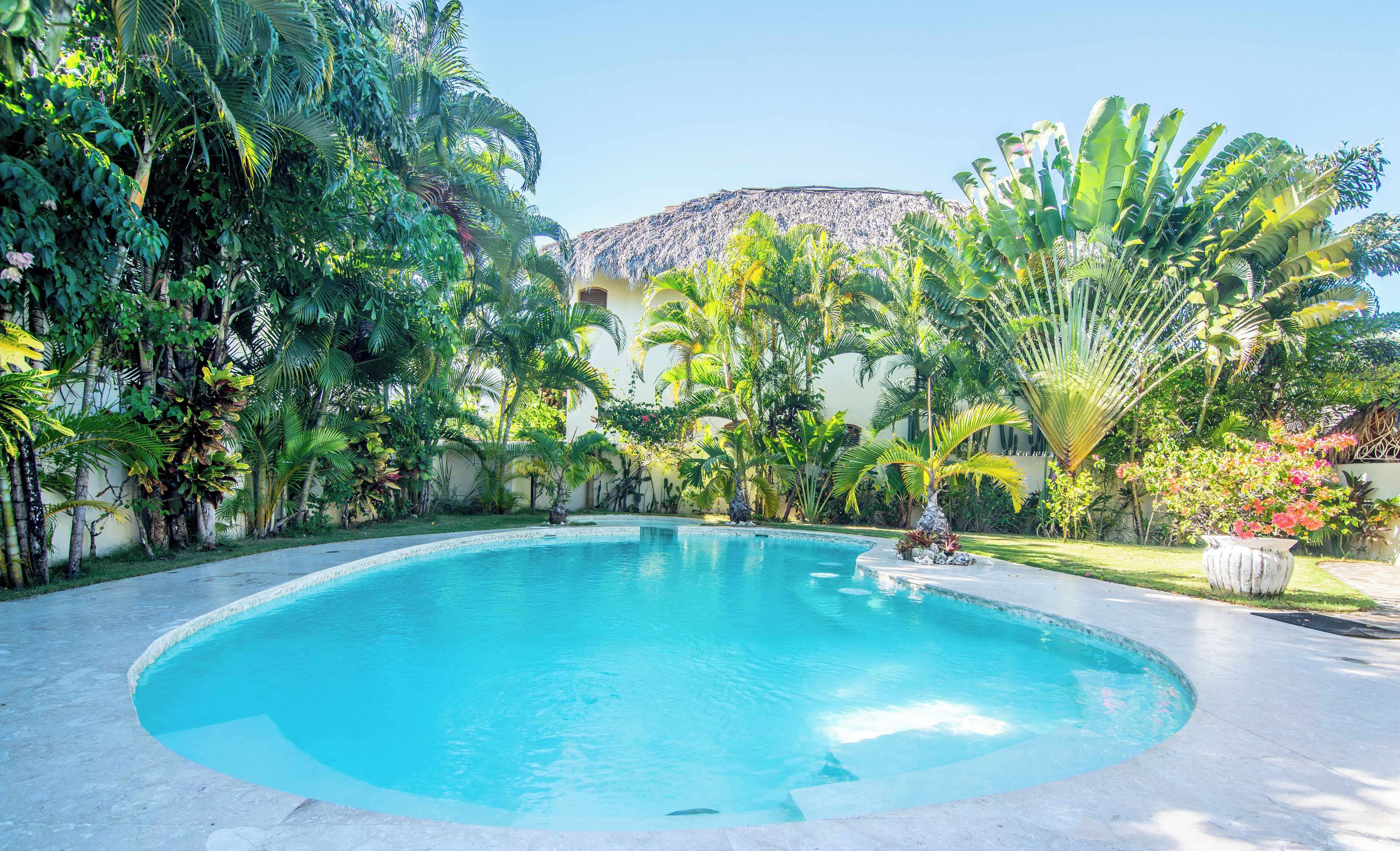 A swimming pool surrounded by lush tropical vegetation, with a clear sky above.