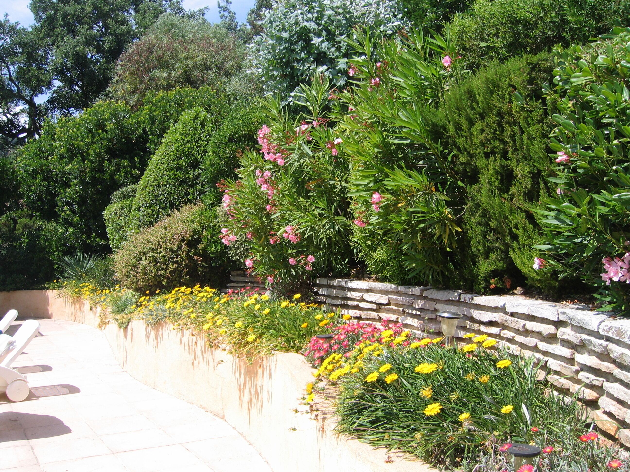 Ein Garten mit verschiedenen Pflanzen und Blumen, eine Steinmauer und eine Bank.