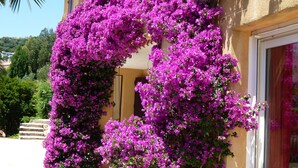 Un bâtiment à la façade incurvée, recouverte d’une profusion de fleurs d’un violet éclatant.