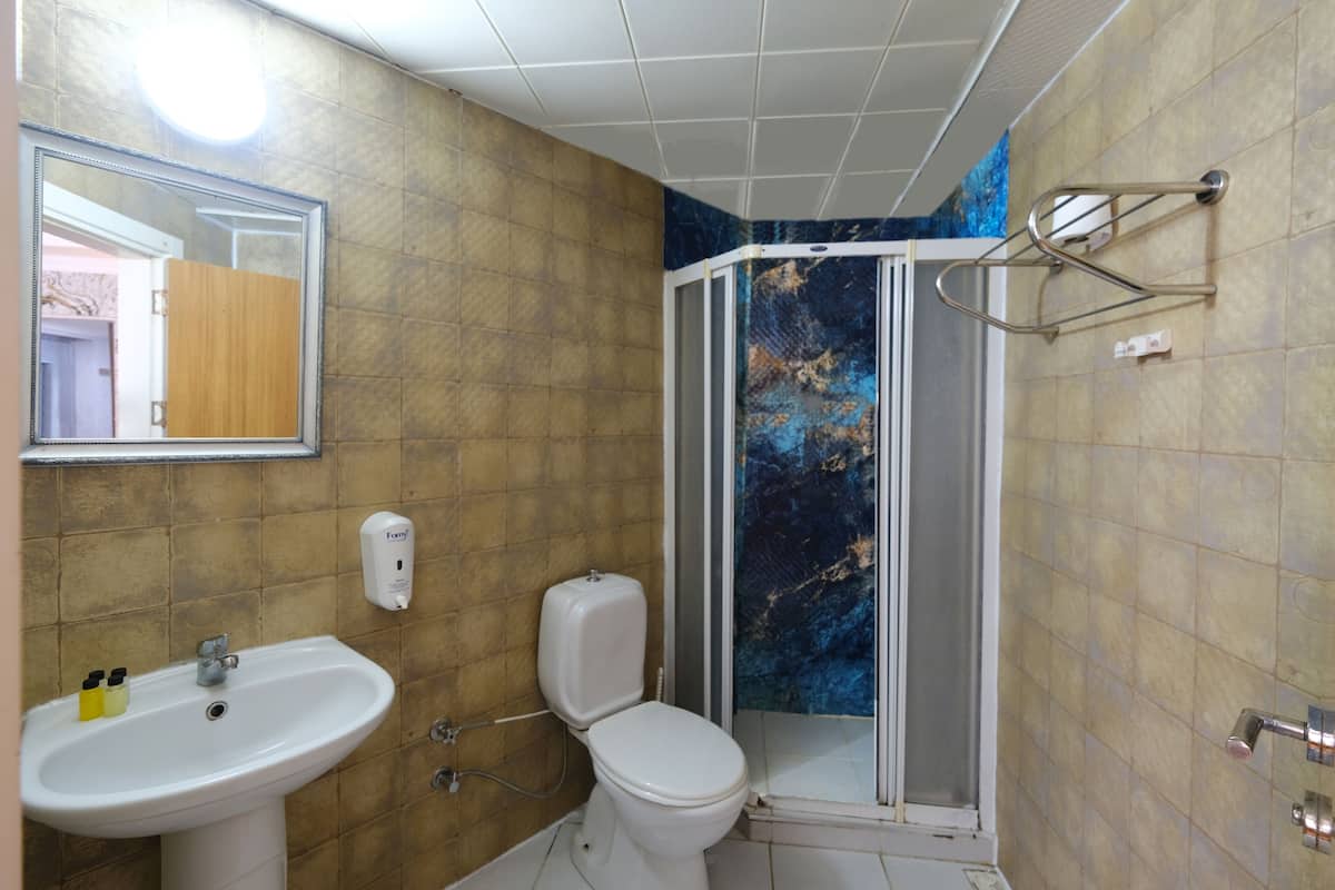 Shower, free toiletries, hair dryer, slippers