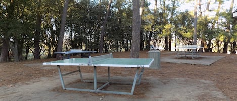 Ein Tischtennis-Tisch in einer bewaldeten Gegend mit Bäumen im Hintergrund.