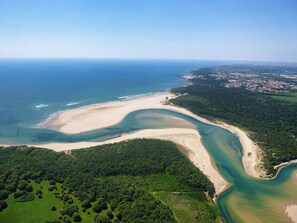 An aerial view of a coastal area with a sandy beach, a curving bay, and dense green forest.