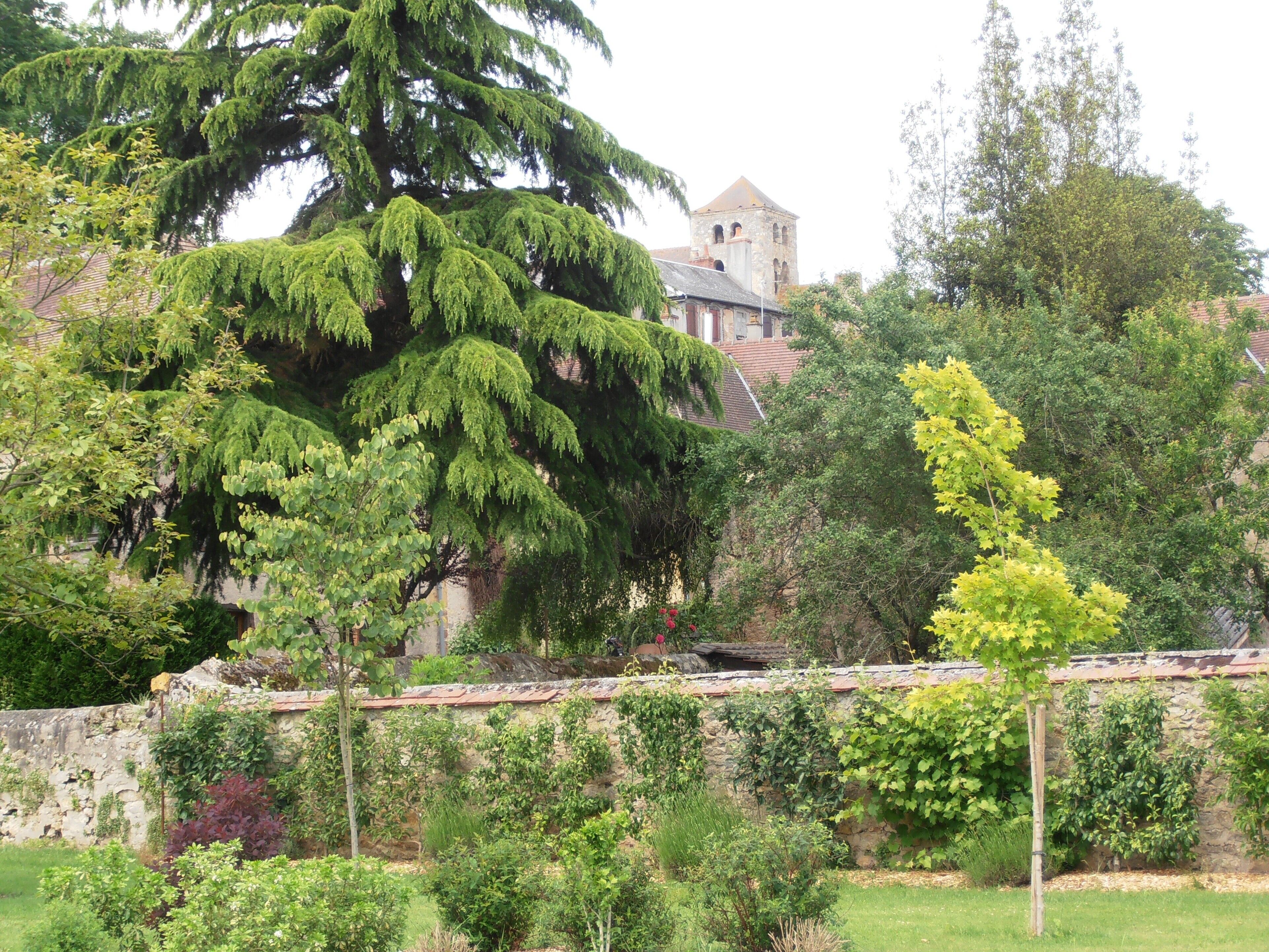vue of the park