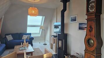 Smart TV, fireplace, DVD player, books