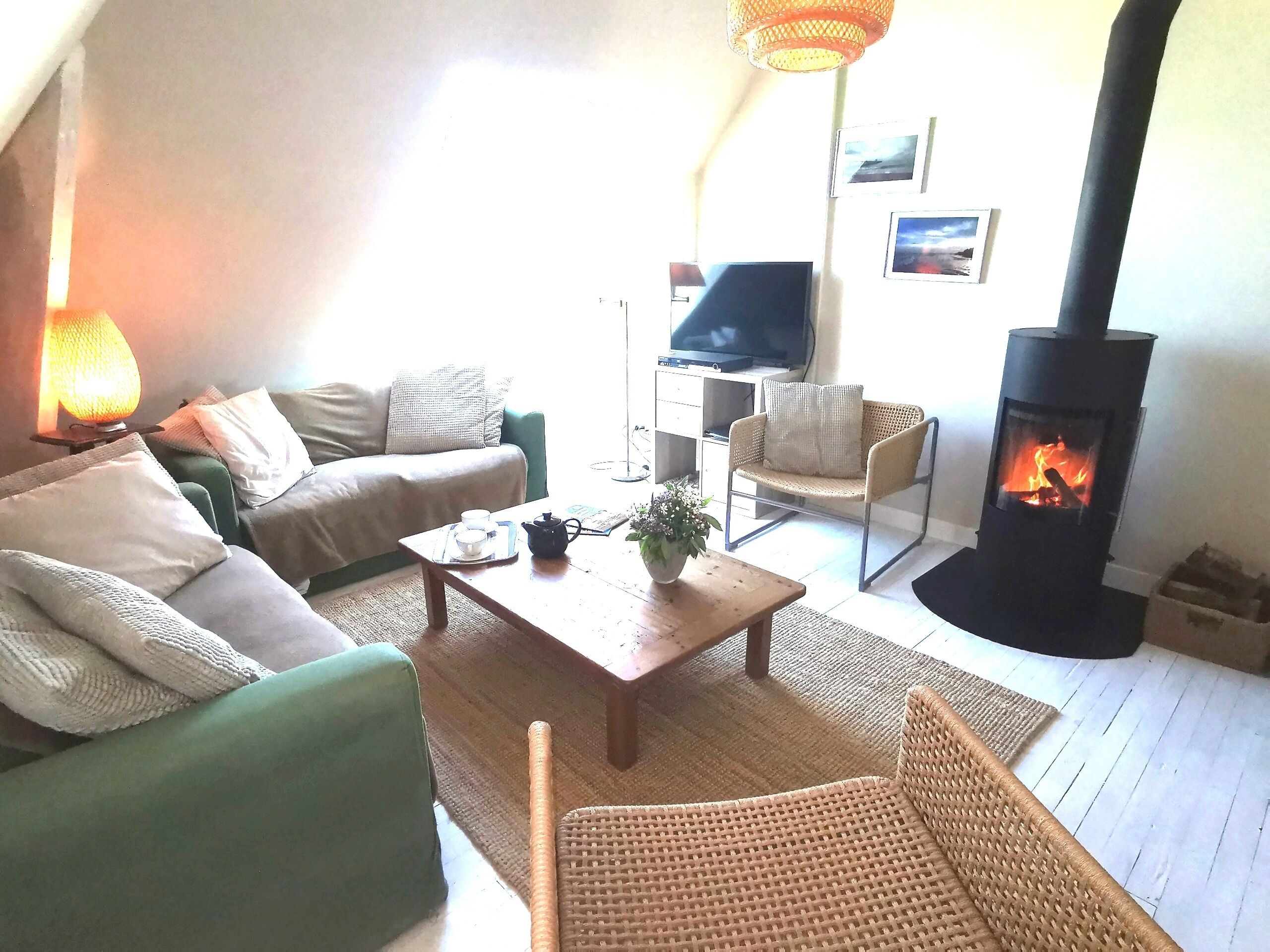 Smart TV, fireplace, DVD player, books