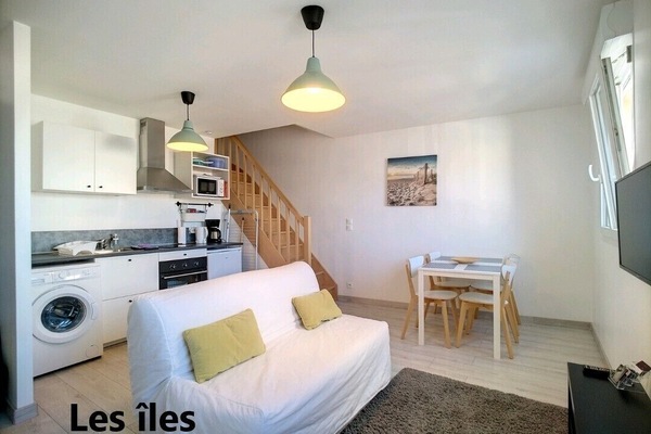 appartement les îles:
pièce de vie avec canapé convertible