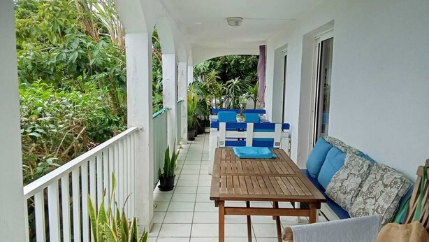 Un espacio al aire libre techado con una mesa de madera y asientos azules y blancos, rodeado de plantas en macetas y follaje.