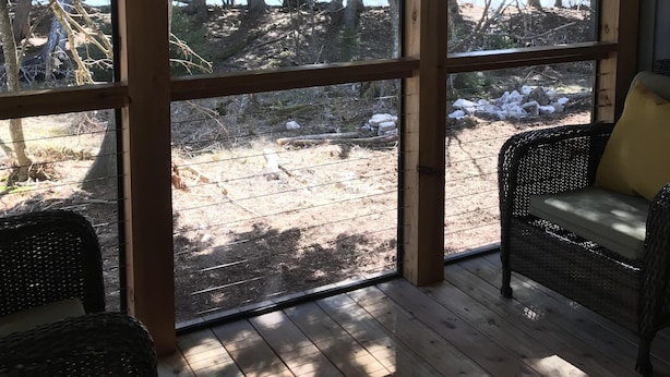 Un espacio al aire libre cubierto con mobiliario de mimbre y vistas a un área boscosa y una masa de agua.
