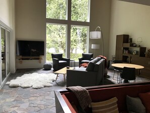 TV connectée, cheminée, livres, vidéothèque