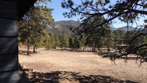 Un campo seco y abierto con árboles dispersos y una montaña al fondo.