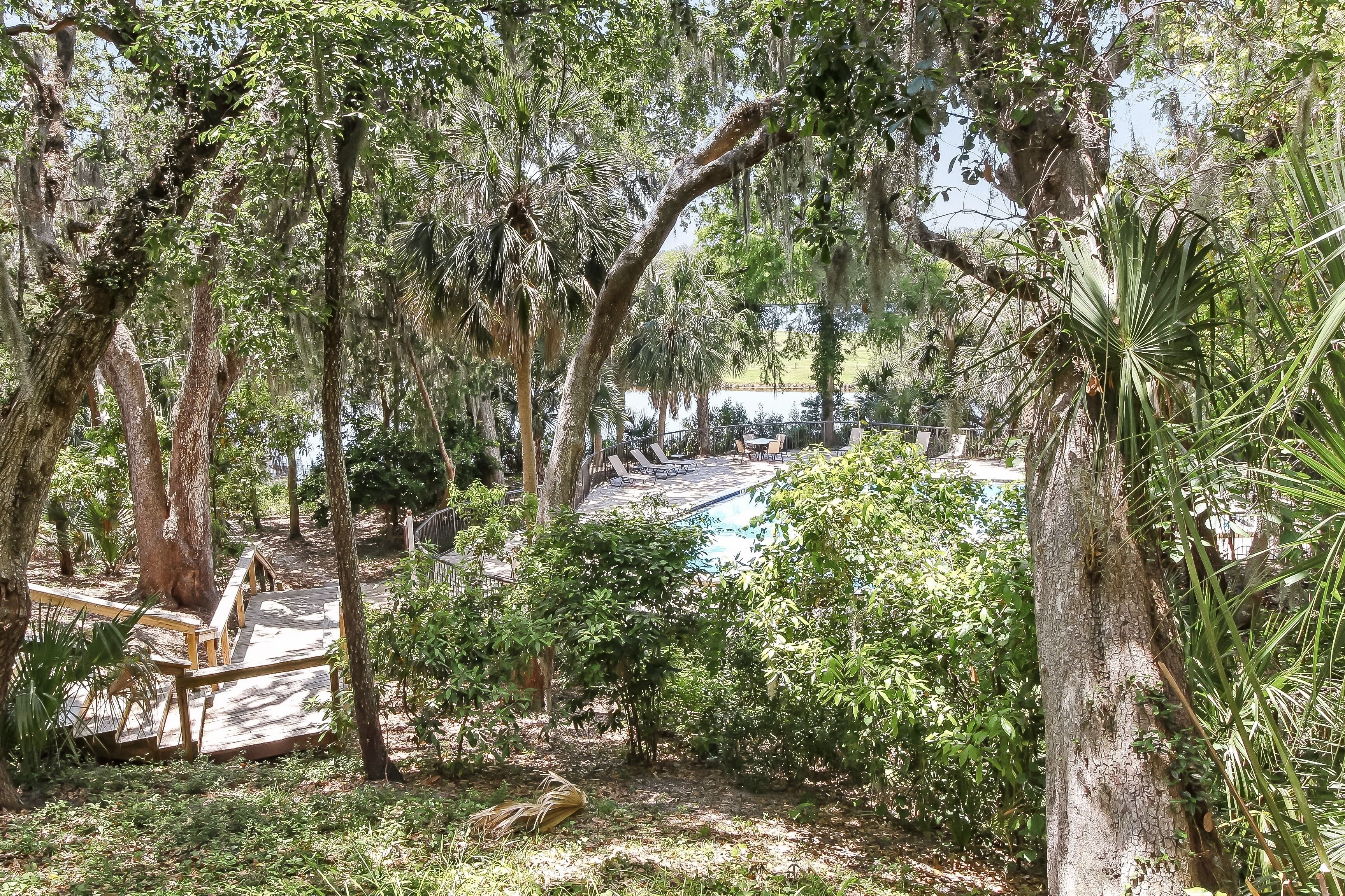 A pool area surrounded by trees and a wooden deck.