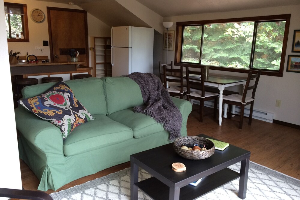1 Bedroom, 1 Bath House In The Woods, Sleeps Up to 4