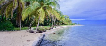 Welcome to our beach front eco-friendly home in Bocas De Toro!
