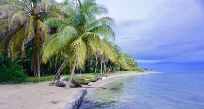 Willkommen in einem einzigartigen surrealistischen Abenteuer-Öko-Resort!