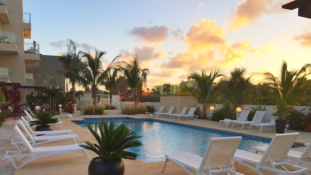 A poolside area with lounge chairs and palm trees, surrounded by buildings. - Walking distance to the beach, bars & restaurants. 3 bed/3 bath condo with pool! (Noord)