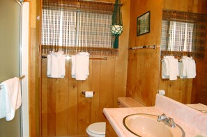 Combined shower/bathtub