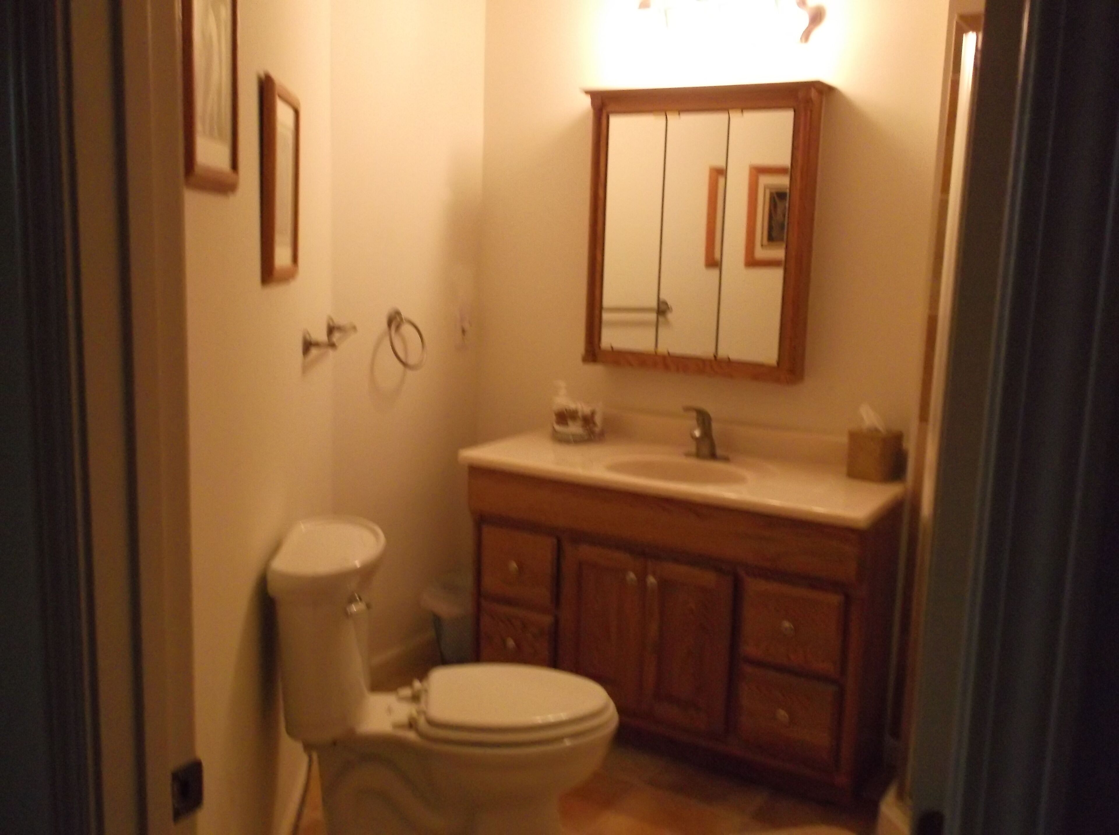  Lakefront Cottage ... AWESOME View.... NEW walkway / dock landing .... Specials