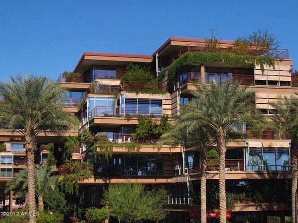 Stylish apartments with balconies and large windows offer a contemporary living experience.