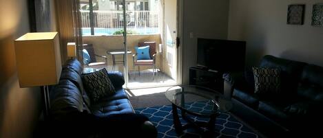 TV, fireplace, DVD player, books