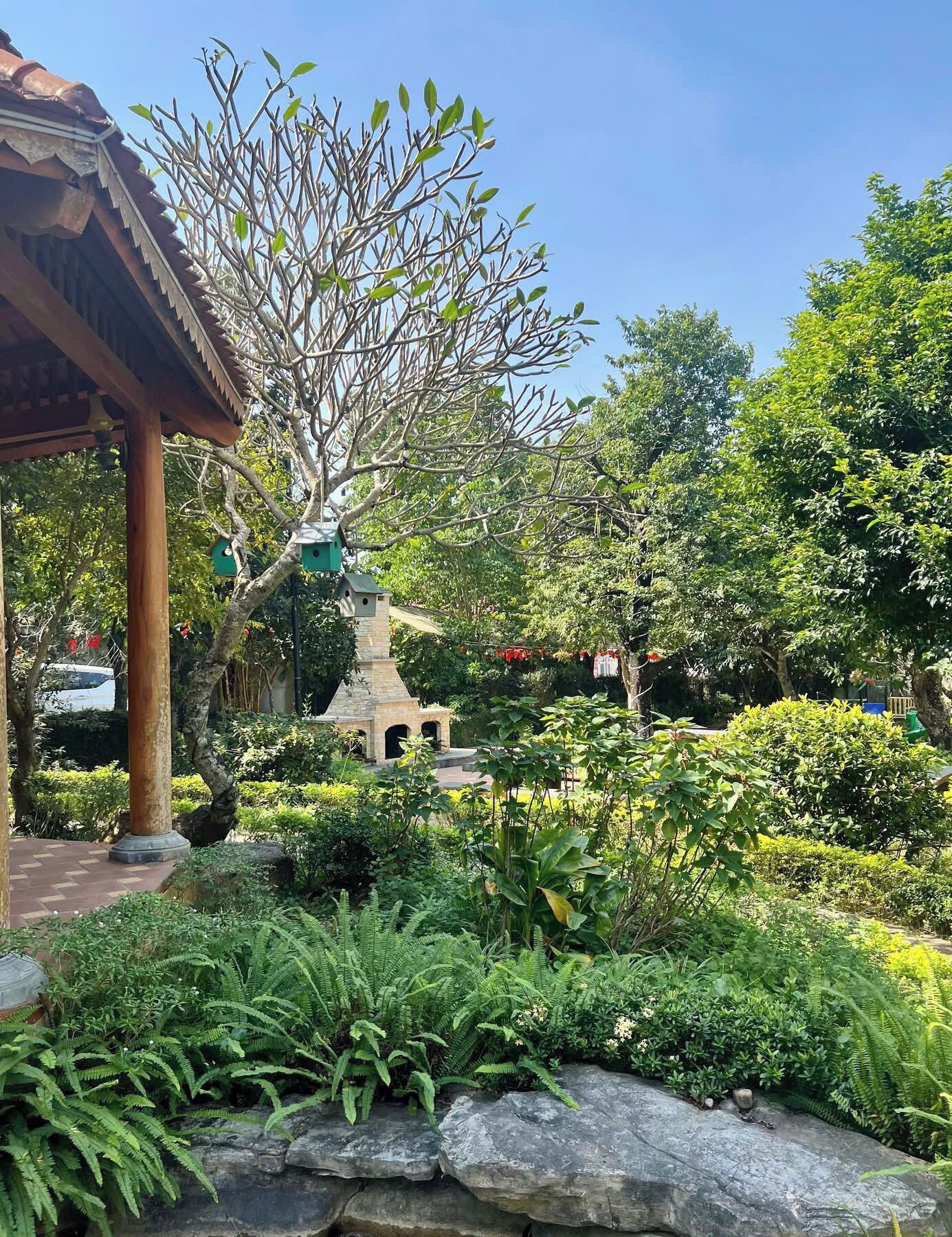 庭園