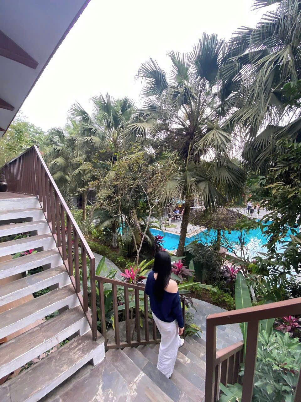 A person descending a wooden staircase with metal railings, surrounded by lush tropical vegetation and a pool.
