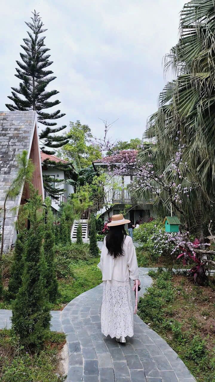 A pathway leading through a garden with various plants and a person walking away.